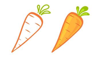 Set icons of orange carrot. Flat carrots. vector