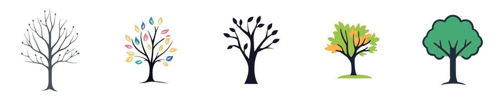 Tree and Leaf Growth Throughout Seasons vector