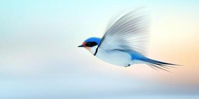 Elegant swallow in flight with light motion blur against a soft sky photo