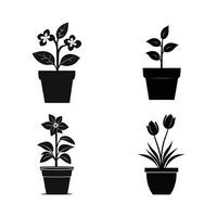 Four different types of plants in pots on a white background vector