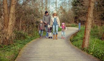 A family walking on a wooden path in the woods photo