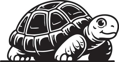Tortoise Cartoon Sketch Drawing. vector