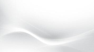 Abstract white and gray color, modern design stripes background with curve lines, wavy pattern, vector