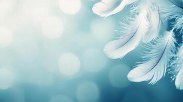 Delicate white feathers on a soft blue bokeh background. photo
