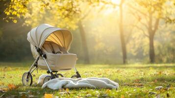 A serene park scene featuring a stroller and a cozy blanket. photo