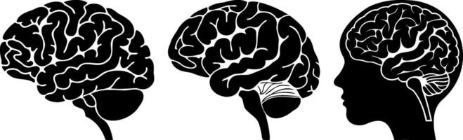 series of brain illustrations, highlighting different perspectives vector