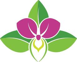 Orchid flower, showcasing intricate petals and lush green leaves vector