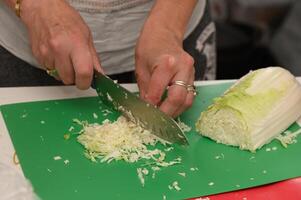 Chopping fresh cabbage for a delicious meal in a cozy kitchen during a vibrant cooking class photo