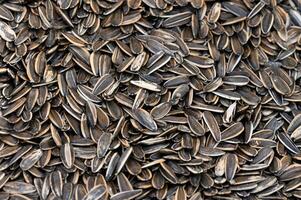 Sunflower seeds spread across a rustic wooden surface in a cozy kitchen setting photo