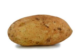 Unique and rustic potato showcasing earthy texture and natural tones in a minimalist setting photo