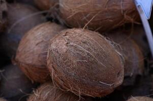 Unique brown coconuts displayed in a vibrant market on a sunny afternoon in tropical paradise photo