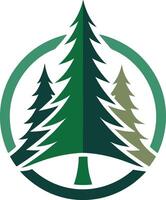 pine tree logo design vector