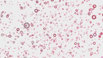 bubble anime style line abstract loop animation motion background video
