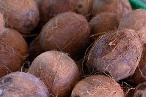 Discovering the rustic charm of coconuts nestled in a vibrant farmers market on a sunny afternoon photo