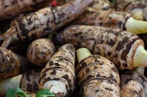 Fresh taro roots displayed at a vibrant local market in the heart of autumn photo