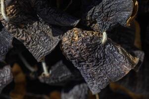 Dried petals resting in the sunlight create intricate shadows on a rustic wooden surface photo