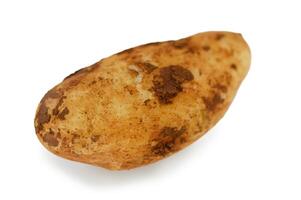 Discovering the natural beauty of an earthy potato with its unique shape and texture photo
