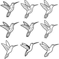 Hummingbirds line art silhouette image set vector