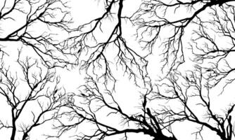 Abstract black roots pattern decorative white background. Vintage nature background. vector