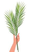 Palm Sunday celebration. Hand raised with palm branches on white background. Concept of unity of Christian faith. postcard. Cartoon. vector