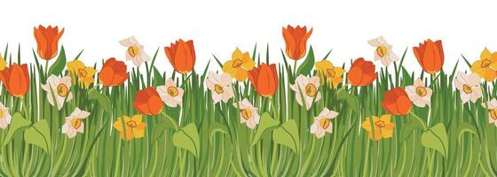 seamless pattern with spring flowers and green grass. Red tulips, yellow and white daffodils on the meadow. Banner with plants at the bottom and space for text. vector