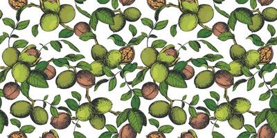 Seamless pattern of walnut branches. background with kernels, leaves and nut skin. Illustration in color engraving style. Design for wallpaper, packaging, textile. Hand drawn ink sketch. vector