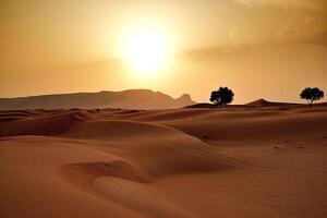 The sun is setting over the desert with two trees photo