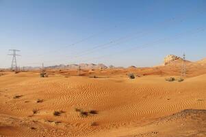 A desert with a few trees and power lines photo