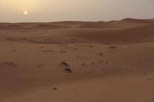 A desert with a sun setting in the distance photo