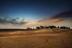 The desert at sunset with trees and sand dunes photo