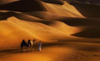 A man and two camels walk through the desert photo