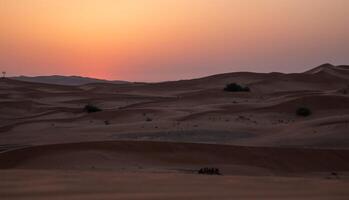 The sun sets over the desert in the sahara photo