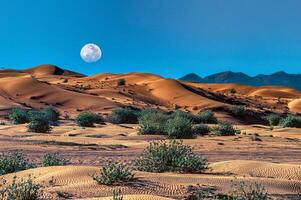 A large desert with a small mountain in the background photo