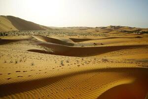 A large desert with sand dunes and a few trees photo