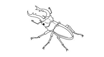 A drawing of a beetle with large eyes coloring page vector