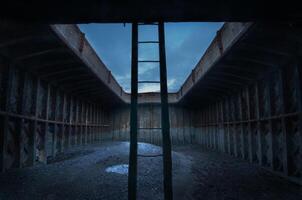 A ladder is in the middle of a dark tunnel photo