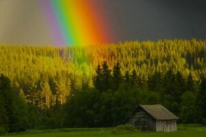 Rainbow over a barn in the forest photo