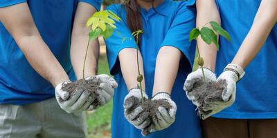 Environmental Stewardship through Tree Planting. Volunteers showcase their effort in creating a sustainable future by planting saplings. photo