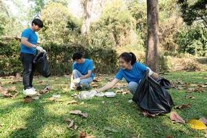 Environmental Awareness and Teamwork. Volunteers actively collecting trash while working together to beautify their local park space. photo