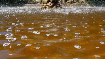 Rippling Water in a Natural Pool with Splashing Waves and Bubbling Foam video