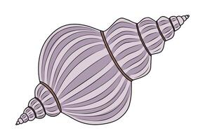 A shell with a purple and white stripe is shown. vector
