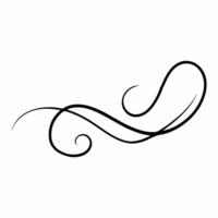 Flourish swirls decorative ornate vector