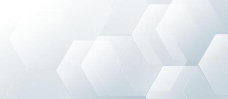 Minimal White Geometric Hexagon Abstract Background vector