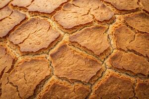 Crusty bread with a unique texture and golden brown color in warm lighting photo