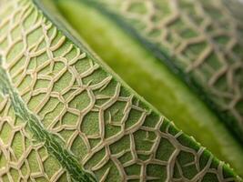 Close-up of textured surface of a fresh cantaloupe revealing intricate lines and patterns photo