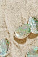 Aesthetic minimal summer sea holiday concept, shiny pearlescent seashells on fine sand. Top view colorful abalone shells on sandy textured background, sea, blue green beige earthy tones, copy space photo