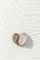 Vibrant abalone shell with iridescent colors with seawater waves at sunlight, gentle ripples and peaceful, oceanic scene. Shiny seashells heart shaped, concept life, relaxation, natural beauty photo