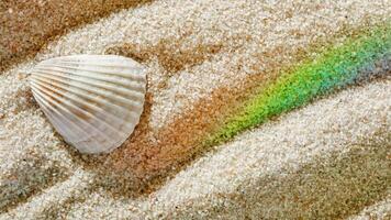 Aesthetic minimal summer banner, white seashell on sand with rainbow flare, copy space, beige neutral tones monochrome background. Top view sandy ripples textured pattern, meditation, relax photo