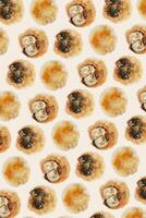 Minimal pattern of Anomia seashell, translucent bivalve, oceanic aesthetic top view beige background, marine life nature design, Summer vibes tranquil nature, beige yellow tones, nautical photo