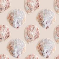 Minimal seamless pattern shells of mollusk pink beige color on pastel fon. Natural oceanic sacllops, seashells with shadows. Summer, marine, nautical style concept, sea life design wallpaper photo